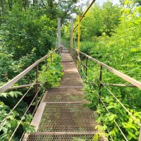 Самарские джунгли :: Надежда 