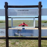 Раскадровка на свежем воздухе :: Людмила Жданова