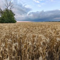 /// :: Валерий Ткаченко