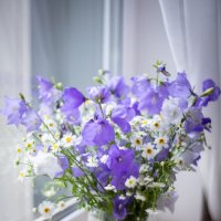 Летний букет :: Олег Дорошенко Летний букет :: Олег Дорошенко