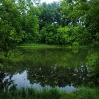 Июль уж наступил! :: Андрей Лукьянов Июль уж наступил! :: Андрей Лукьянов