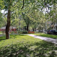 Московский двор. :: Владимир Драгунский