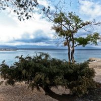 *** :: Dan Berli *** :: Dan Berli