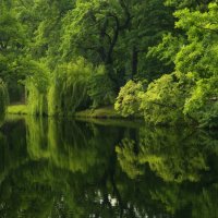 Лето в парке :: Pavel Blashkin Лето в парке :: Pavel Blashkin