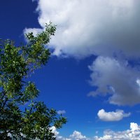 jnls[ :: Oksana Verkhoglyad