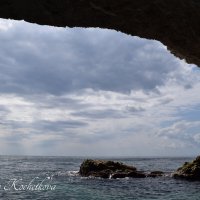 Природа Крыма :: Amazing Cosmea