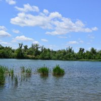 У реки. :: Виктор У реки. :: Виктор