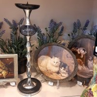 *** :: Владимир Захаров