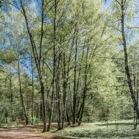 Вспомнился май :: Владимир Езеров 