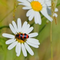 Из снятого сегодня 2 :: Александр Прокудин
