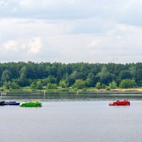 На озере Сенеж :: Александр Орлов