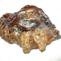 КАМЧАТСКИЙ КРАБОЛОВ . Лесная скульптура (тутовик берёзовый) :: Валерий Кокорев