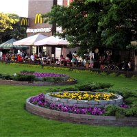 Лето в городе! :: Нина Андронова