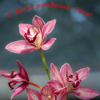 Цветы для Татьяны Помогаловой. :: Борис Гольдберг