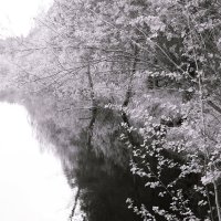 Назва. отсу. :: Денис Безногов