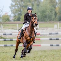 Конкур :: SanSan 