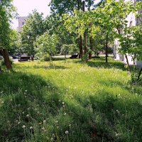 Это Москва. :: Владимир Драгунский