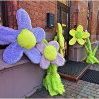 Цветы у магазина. :: Валерия Комова