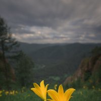 * :: Александр Иванов