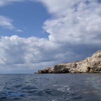 Природа Крыма :: Amazing Cosmea Природа Крыма :: Amazing Cosmea