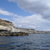 Природа Крыма :: Amazing Cosmea