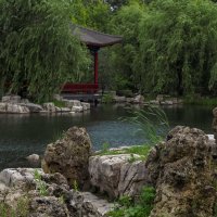 В Парке Хуамин :: юрий поляков В Парке Хуамин :: юрий поляков