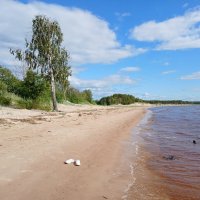 Первый день июля. :: Лия ☼ Первый день июля. :: Лия ☼