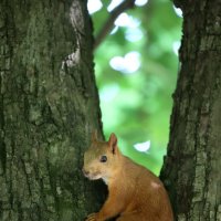 А, пришли... :: Александр Кондаков