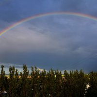 Июньский подарок! :: Валентина  Нефёдова 