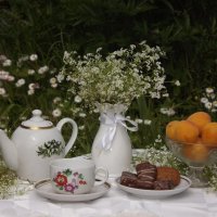 Чаепитие на даче! :: Нина Андронова