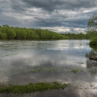 ... :: Жора Житников