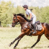 Конкур :: SanSan 