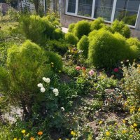 Ak Bulak. Talgar. :: Murat Bukaev 