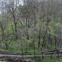 Курортный парк. Большой терренкур. :: Gen 