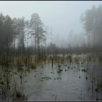 Пришел туман :: Aleksandr Gal