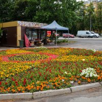 Цветочная клумба и овощная лавка :: Александр Синдерёв