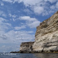 Природа Крыма :: Amazing Cosmea