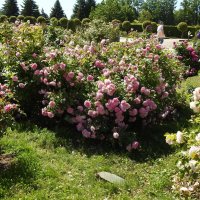 французский парк в Рундале :: ИННА ПОРОХОВА