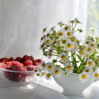 *** :: Надежда Куркина 