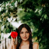 Полина с красной розой :: Роман 