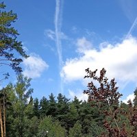 Лето. Облако на веревочках... :: Татьяна Тюменка