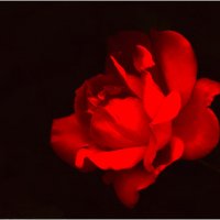 Грация :: Валентин Котляров