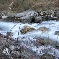Бурные воды горной реки :: Марина 