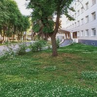 Территория больницы Святого Луки Крымского. :: Лилия *