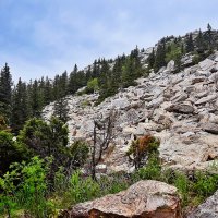 Дружною гурьбою :: Hope 