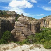 В Национальном парке Серра-да-Капивара, Бразилия. :: unix (Илья Утропов)