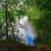 В зоопарке! :: Надежда В зоопарке! :: Надежда