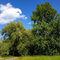 100-я  велофотосессия в сезоне! (Более 1300 км) :: Андрей Лукьянов