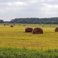 Сенокосная пора :: Валерий Иванович