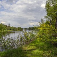 В мае на Клязьме :: Сергей Цветков